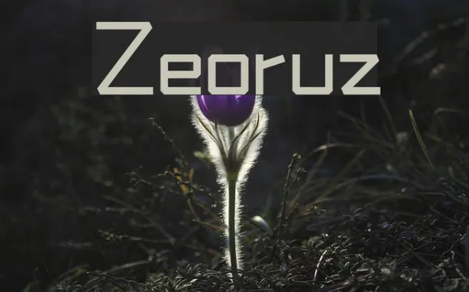 Zeoruz Example 1