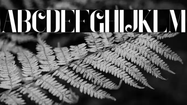 Zeoxay-Regular Font examples