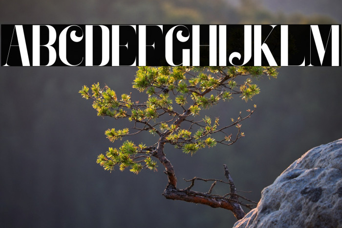 Zeoxay-Regular Example 2