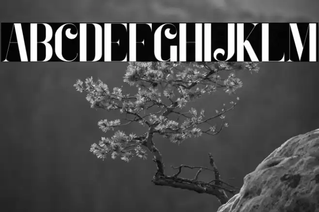 Zeoxay-Regular Font examples