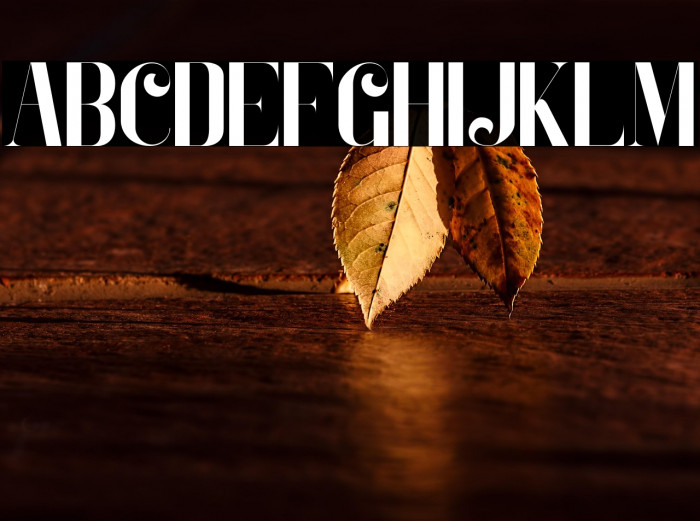 Zeoxay-Regular Example 3