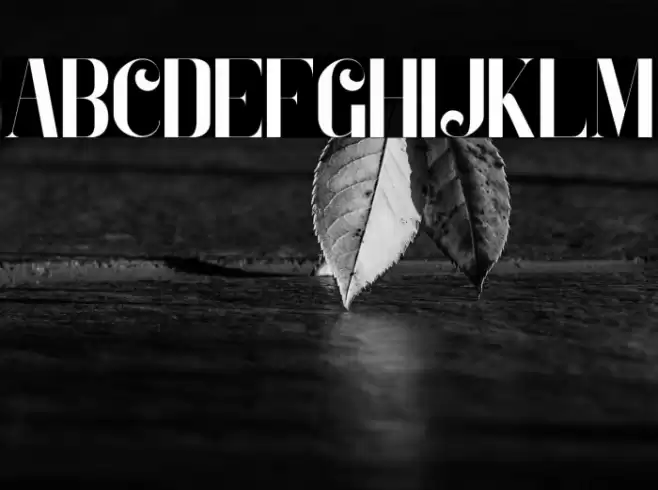 Zeoxay-Regular Font examples