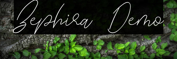 Zephira Demo Example 1