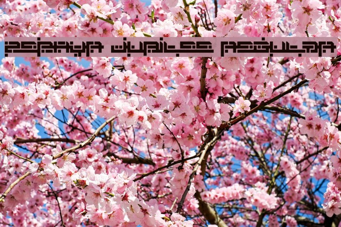 Zephyr Jubilee Regular Example 2