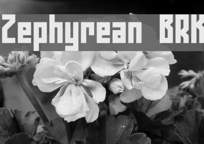 Zephyrean BRK Font examples