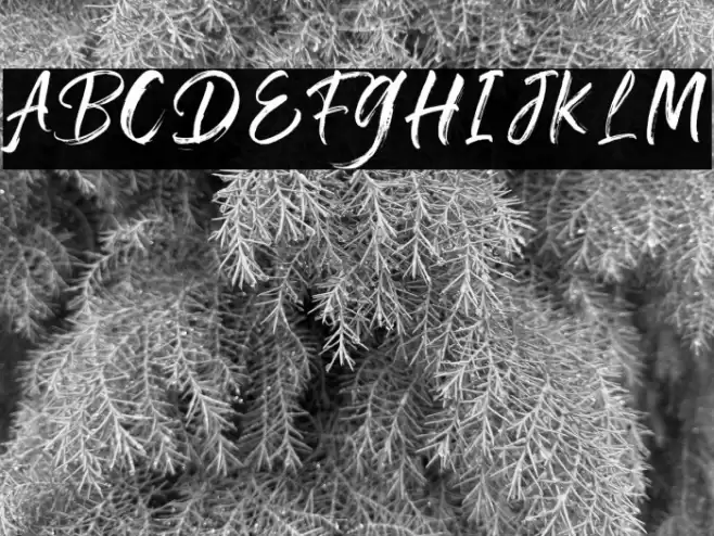 Zephyrush-RegularFree Font examples