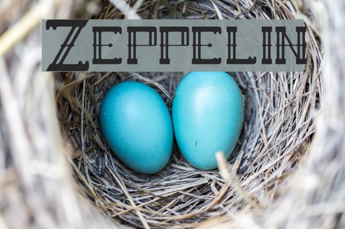 Zeppelin Font examples