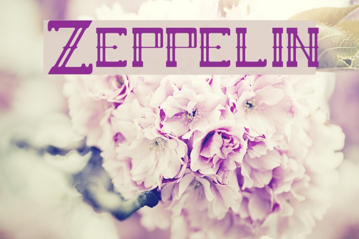 Zeppelin Font examples