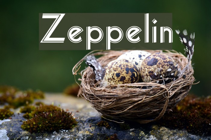Zeppelin Font examples