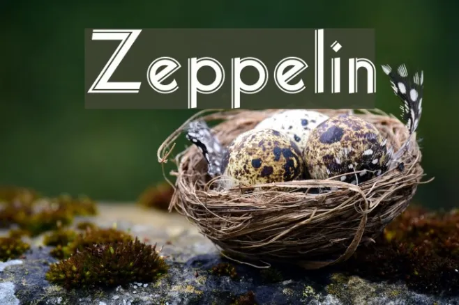 Zeppelin Example 1
