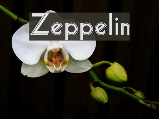 Zeppelin Example 3