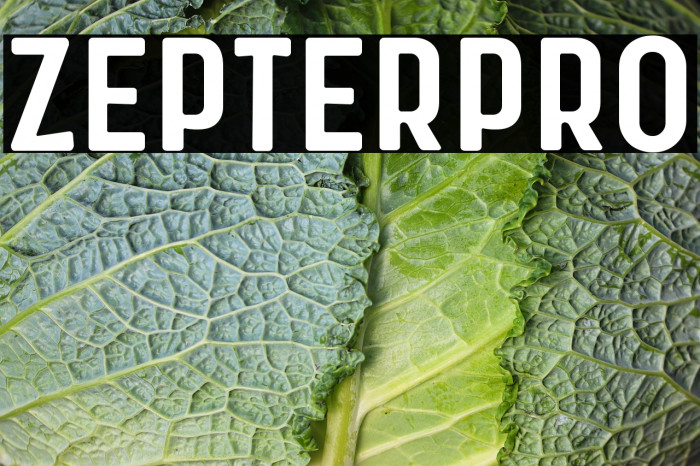 Zepter Pro Example 2