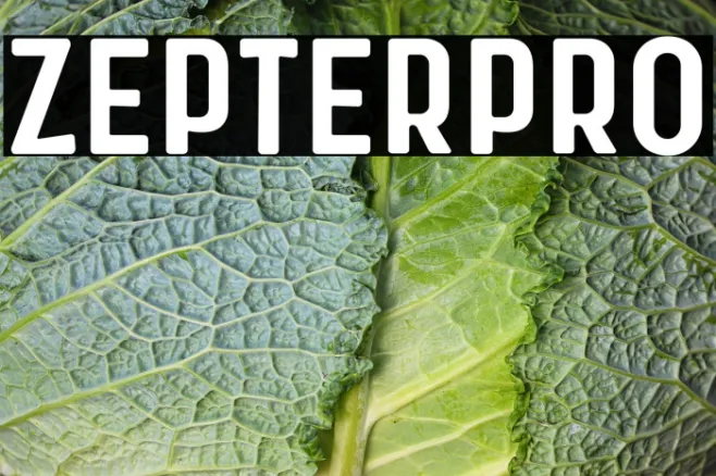 Zepter Pro Example 2