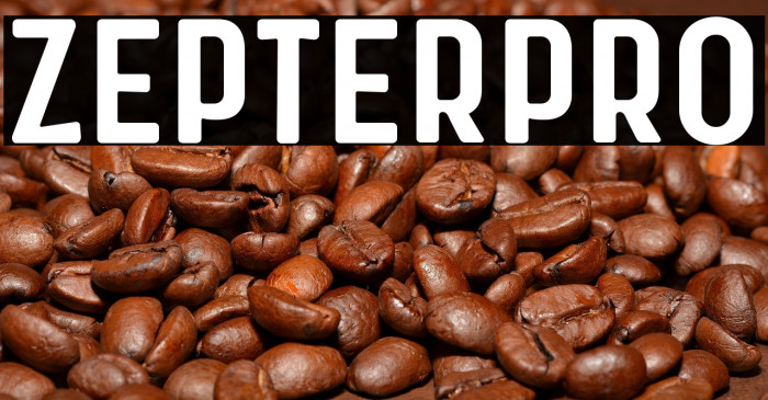 Zepter Pro Example 3