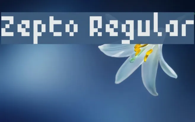 Zepto Regular Example 1