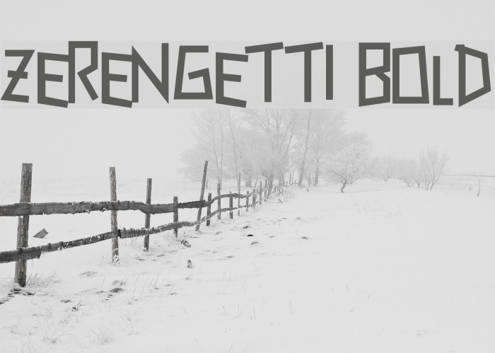 Zerengetti Bold Font examples