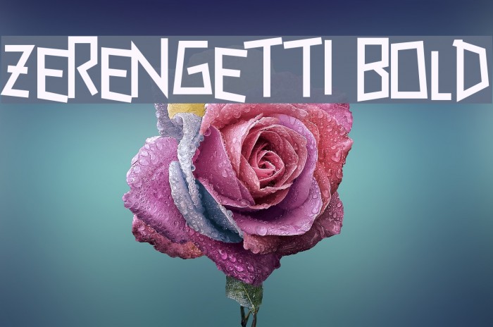 Zerengetti Bold Font examples