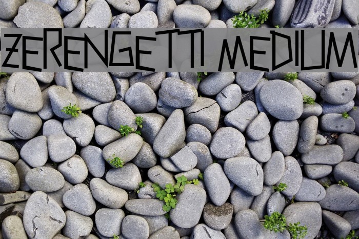 Zerengetti Medium Font examples