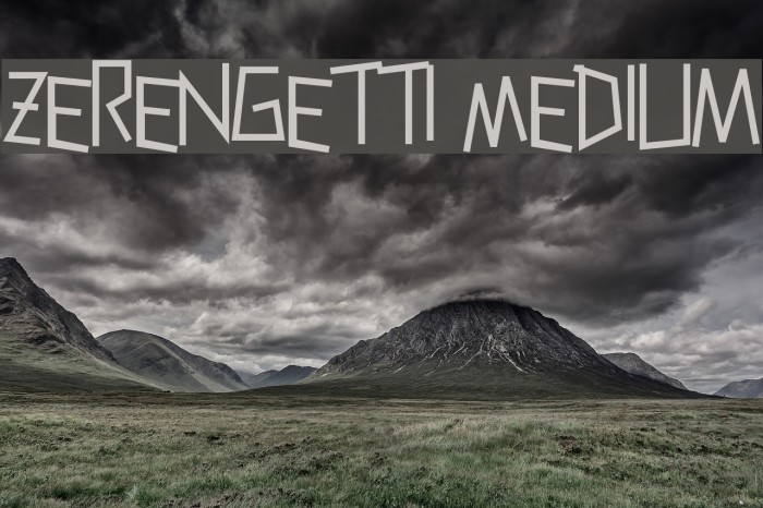 Zerengetti Medium Font examples