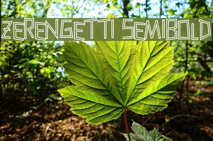 Zerengetti SemiBold Font examples