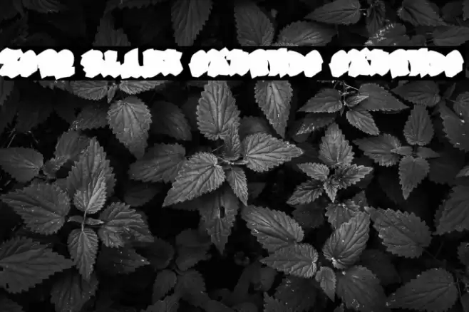 Zero Blast Extrude Extrude Font examples