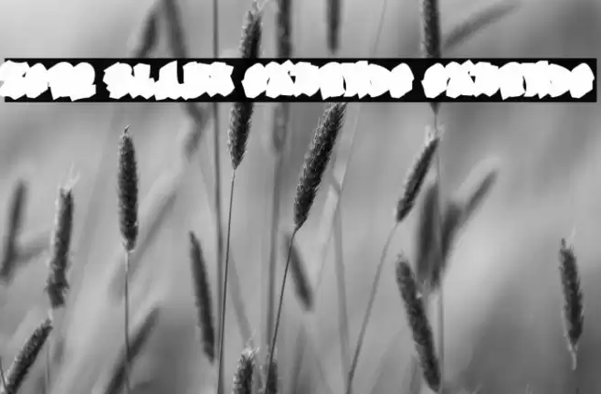 Zero Blast Extrude Extrude Font examples