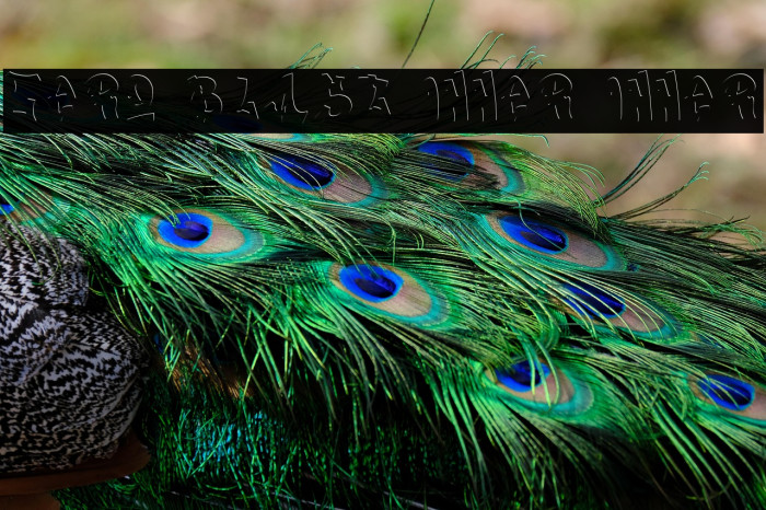 Zero Blast Inner Inner Example 2