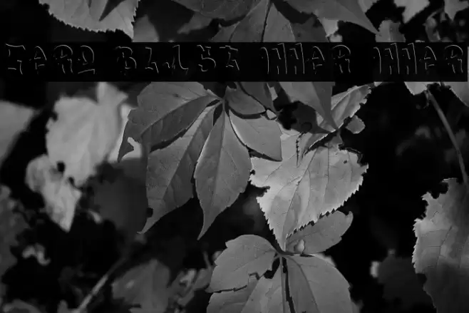 Zero Blast Inner Inner خط examples