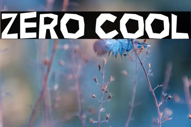 Zero Cool Example 2