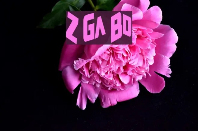 Zero Gravity Bold Example 2