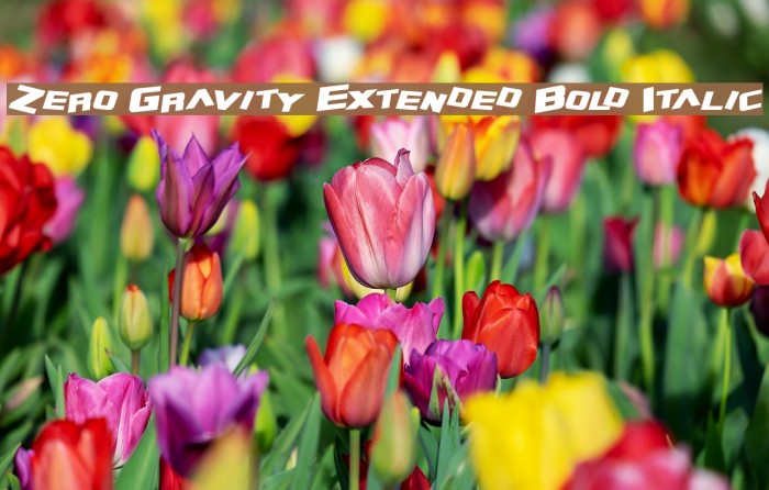 Zero Gravity Extended Bold Italic Font examples