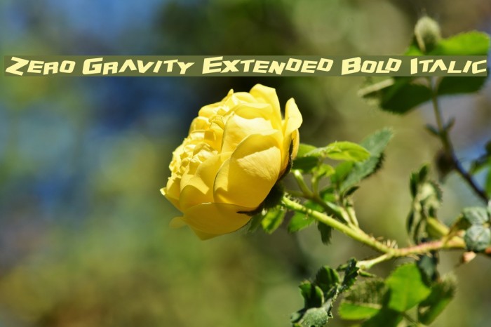 Zero Gravity Extended Bold Italic Font examples