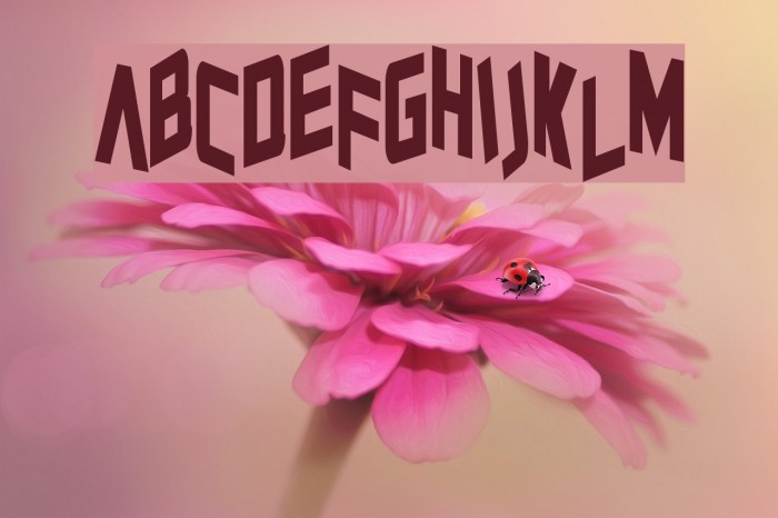Zero Gravity Font examples