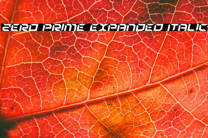 Zero Prime Expanded Italic Example 3