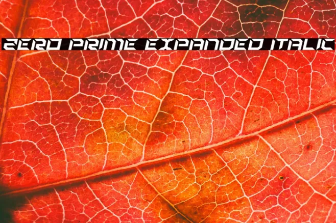 Zero Prime Expanded Italic Example 3