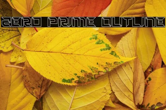 Zero Prime Outline Example 3