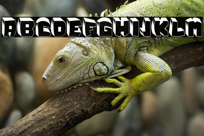 Zero Regular Example 3