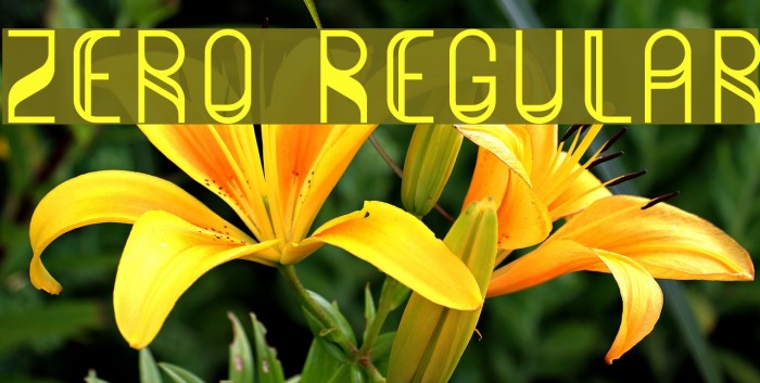 Zero Regular Font examples