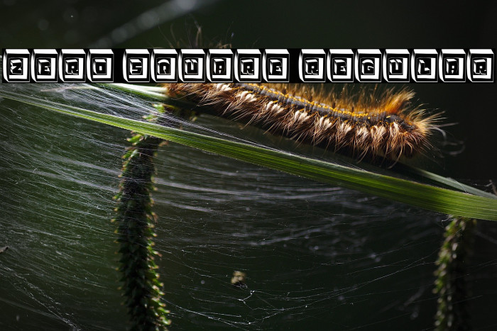 Zero Square Regular Example 2