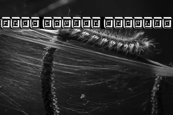 Zero Square Regular Font examples