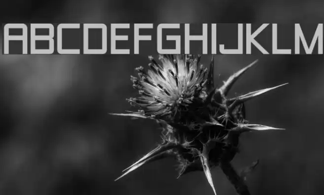 Zero Threes Font examples