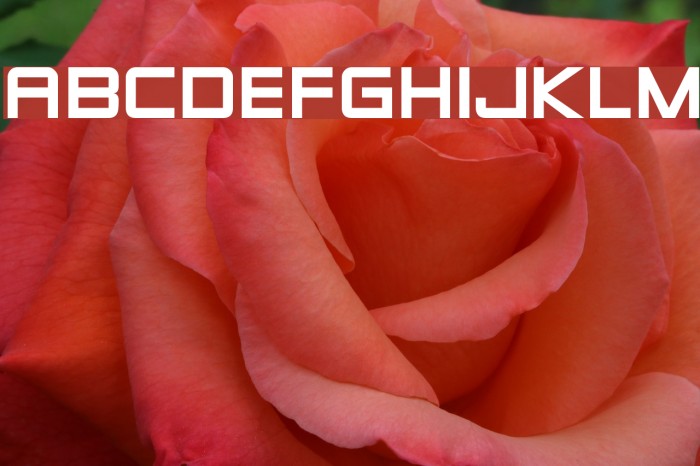 Zero Twos Font examples
