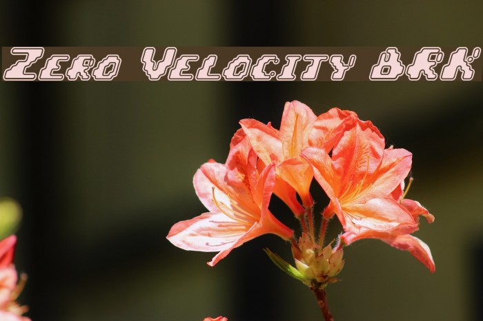 Zero Velocity [BRK] Example 1