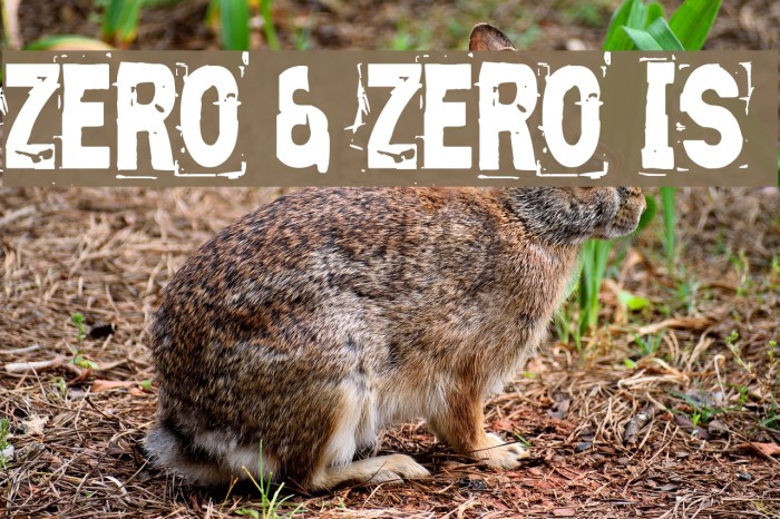 Zero & Zero Is फ़ॉन्ट examples