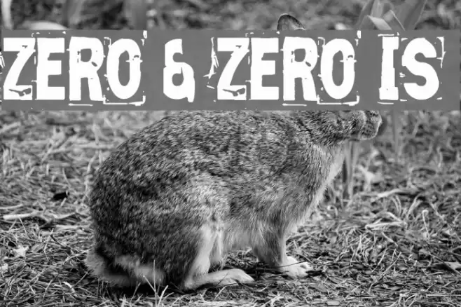 Zero & Zero Is Font examples