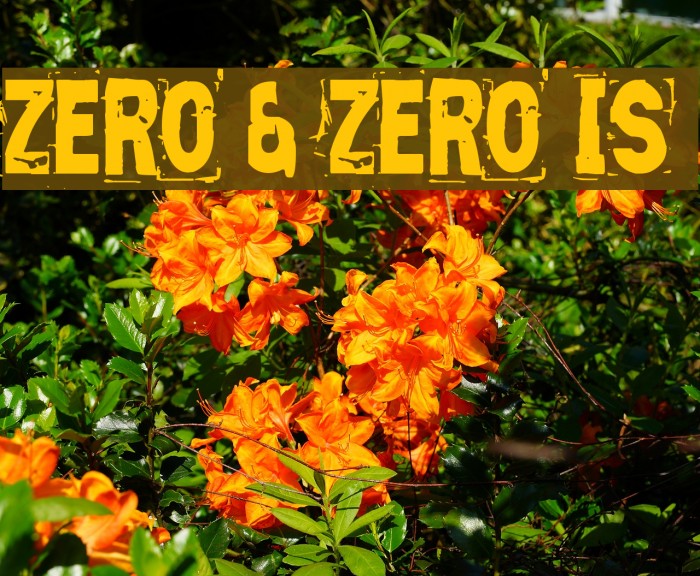 Zero & Zero Is फ़ॉन्ट examples