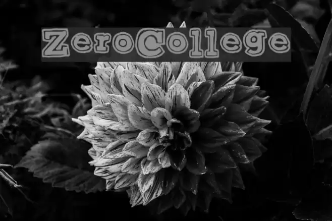 ZeroCollege Font examples
