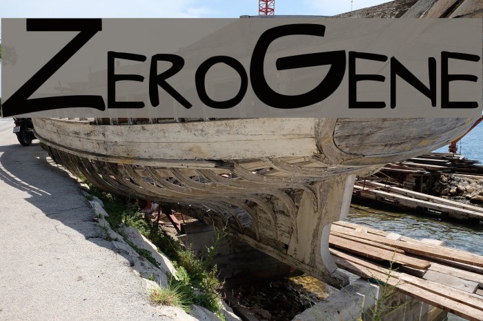 ZeroGene Polices examples
