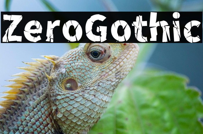 ZeroGothic Example 1