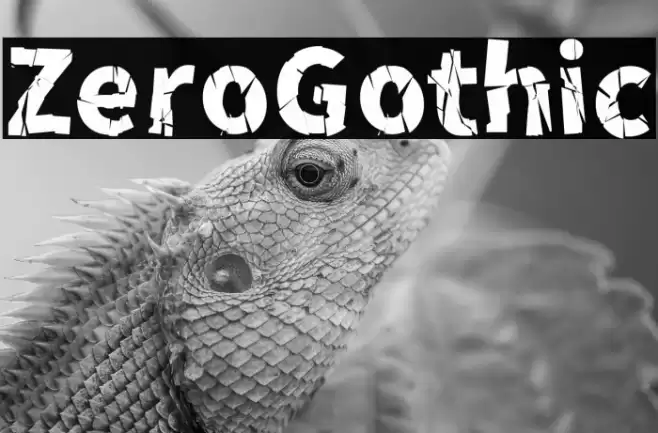 ZeroGothic Font examples